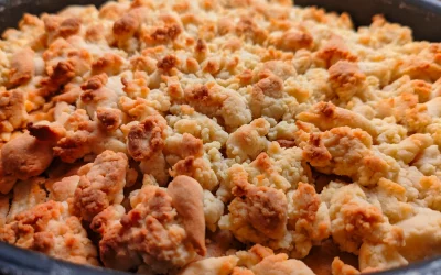Knuspriger Apfelkuchen aus Dinkelmehl mit leckeren Streuseln (histaminfrei, vegan, laktosefrei)